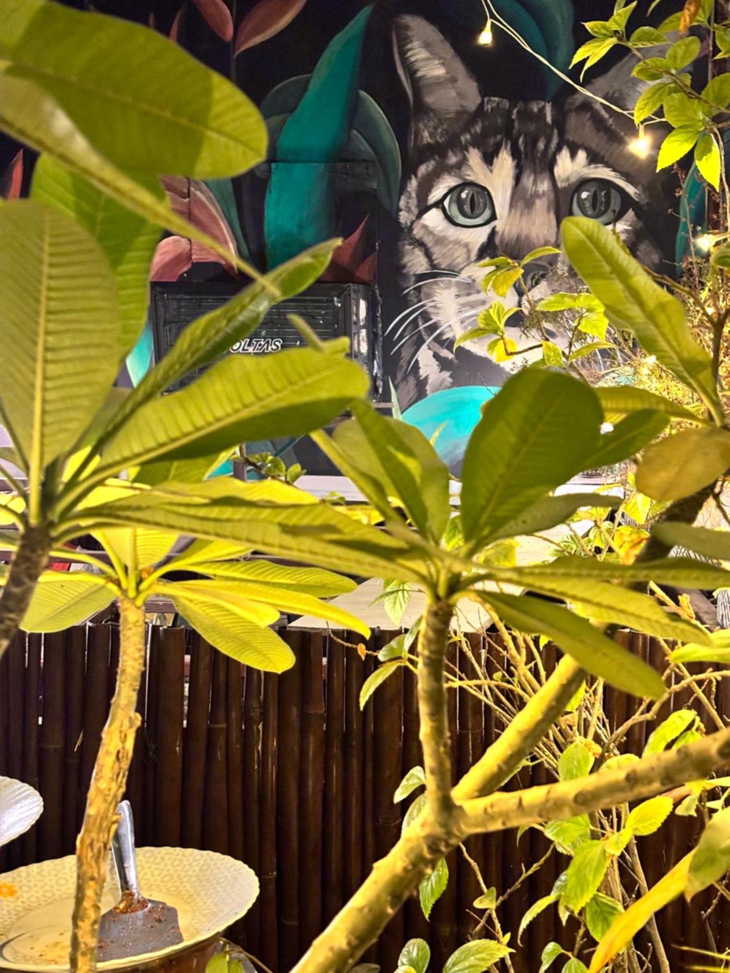 Anavrin Art House Nova Deli Exterior foto